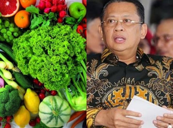 MPR Harap Pemerintah Bisa Minimalisir Impor Sayuran (foto/int)