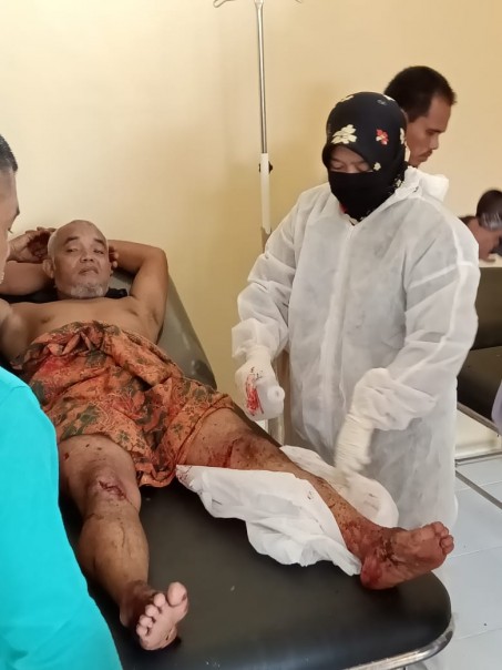 Korban Sofyan tengah mendapatkan perawatan oleh tim medis setelah diterkam harimau saat menderes karet.