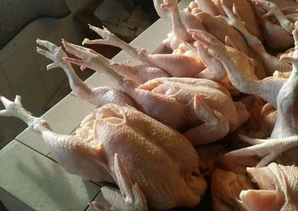Pasca Idul Fitri 2020 Harga Ayam Potong di Siak Melambung Tembus Rp47 Ribu per Kilogram (foto/int)