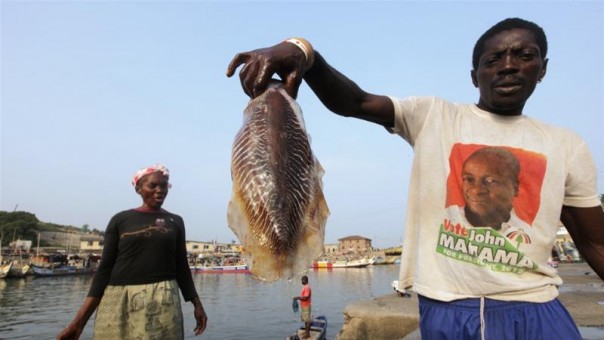 FAO : Lebih Dari Sepertiga Stok Ikan Dunia Ditangkap Secara Berlebihan, Ini Bahaya yang Ditimbulkan