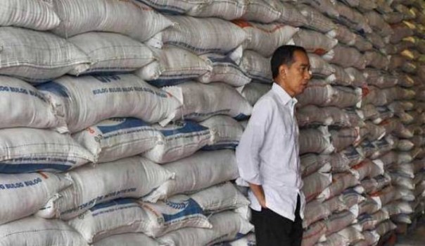Presiden Jokowi saat sidak di salah satu gudang beras milik Bulog, beberapa waktu lalu. Krisis pangan disebut sebagai masalah yang siap mengancam setelah pandemi Corona. Foto: int 