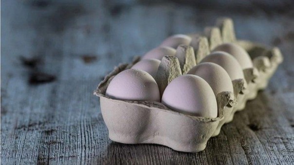 Telur Ayam Infertil yang Sering Dijual Murah Ternyata Sulit Dibedakan, Disebut Lebih Gampang Busuk (foto/int)