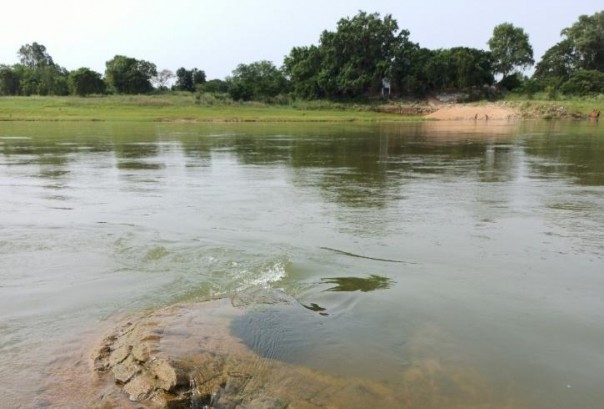 Mengejutkan, Kuil Berusia 500 Tahun yang Telah Tenggelam di Abad ke 19 Muncul Secara Tiba-Tiba di Sungai Odisha