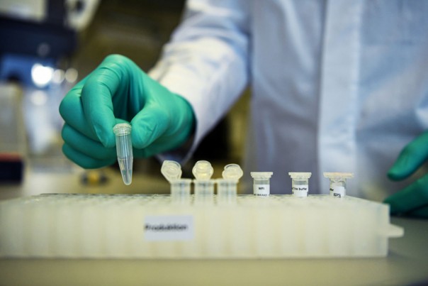 CureVac Menjadi Perusahaan Kedua yang Menguji Vaksin Virus Corona di Jerman