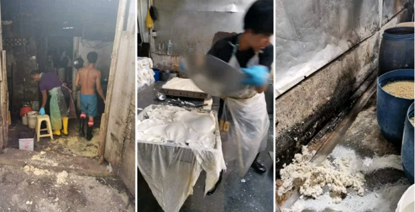 Viral, Pabrik Tahu di Kota Ini Ditemukan Dalam Kondisi Sangat Kotor, Bau dan Penuh Dengan Kecoak