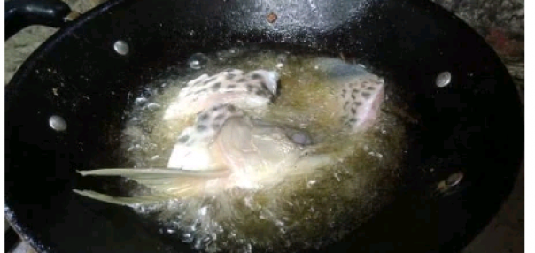 Viral, Ikan Arwana Bernilai Jutaan Rupiah Ini Dijadikan Menu Makan Siang Keluarga di Indonesia