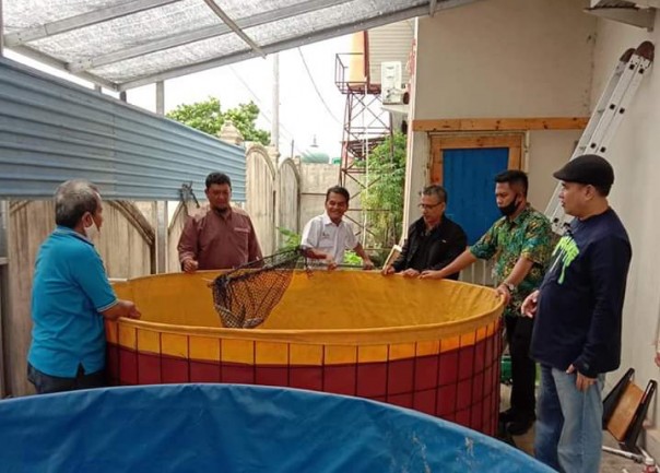 Ketua PWI Riau dan Tim PWI Peduli meninjau budi daya ikan sistem biofloc