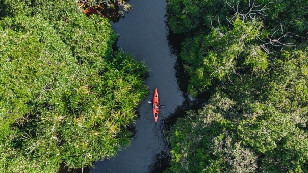 Restorasi Ekosistem dan Peningkatan Keanekaragaman Hayati, Serta Memperbaiki Hutan Rawa Gambut Terbesar di Sumatera (foto/ist)