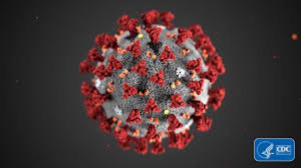 Update : WHO Laporkan Rekor Baru Dalam Kasus Virus Corona, Berasal Dari Amerika Utara dan Selatan
