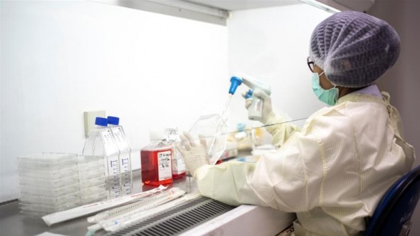 Para Ahli Mengklaim Jika Virus Corona Bisa Melemah dan Mati Tanpa Vaksin