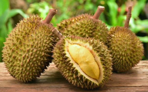 Pernahkah Anda Bertanya Mengapa Durian Mengeluarkan Bau yang Sangat Busuk ? Inilah Kebenarannya
