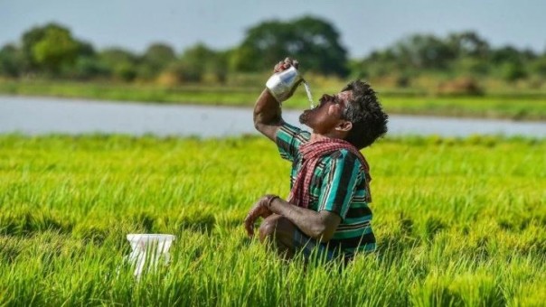 Petani Karnataka Berjalan 15 Km Setelah Bank Memintanya Untuk Membayar Pinjaman yang Nilainya Sangat Tidak Masuk Akal