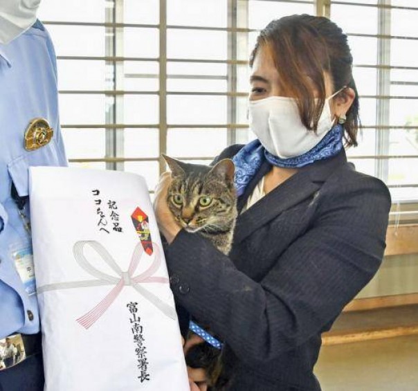 Polisi Negara Ini Berikan Penghargaan Untuk Kucing, Gara-gara Menyelamatkan Pria Tua, Begini Kisahnya (foto/int)