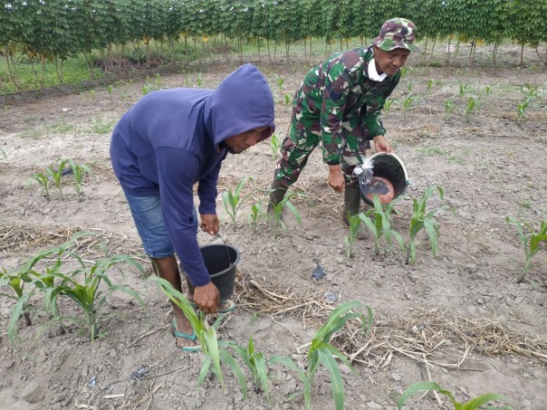 Bantu Petani Garap Lahan Pertanian, Serma Jalaludin Turun Ke Ladang