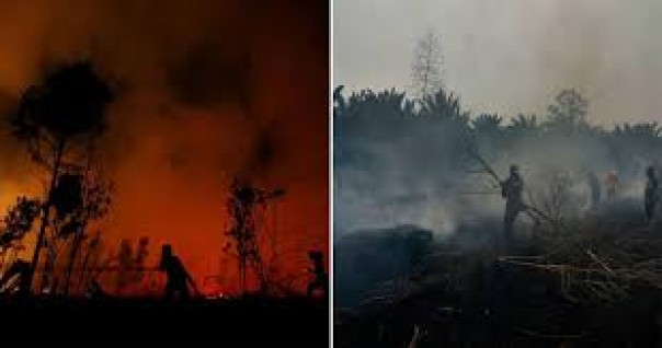 Kalimantan Menyatakan Keadaan Darurat Atas Risiko Kebakaran Hutan, 700 Titik Panas Terdeteksi Pada 2020