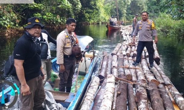 Gerak Cepat Polres Siak Selidiki Dugaan Tindak Pidana Ilegal Logging di Kampung Rawa Mekar Jaya (foto/int)