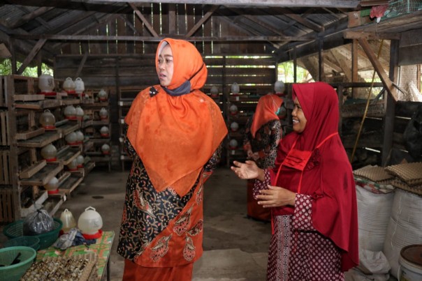 Tingkatkan Ekonomi Keluarga Di Tengah Pandemk Covid-19, Rasidah Tinjau Peternakan Burung Puyuh di Bungaraya (foto/lin)
