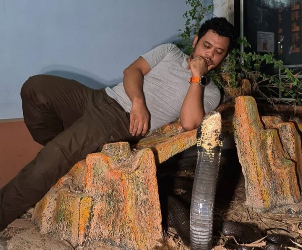 Panji Petualang Nungguin King Kobra Tidur di Kandang, Netizen: Orang Sakti (foto/int)