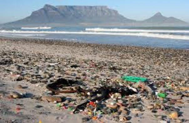 EPA Memaksa Hawaii Membersihkan Dua Pantai yang Terkontaminasi Oleh Sampah