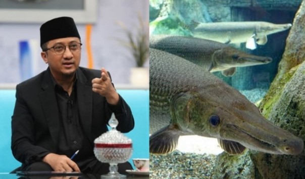 Diingatkan Hukuman Pelihara Ikan Alligator, Ustadz Yusuf Mansur Sebut Begini (foto/int)