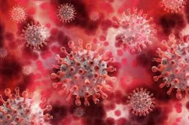 Update : Jumlah Pasien Virus Corona Terus Meningkat, Maroko Lakukan Penguncian Kembali Sebagian Kota