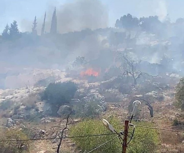 Lahan Zaitun Petani Palestina Hangus Dibakar, Netizen: Geram Dengan Ulah Penjajah (foto/int)