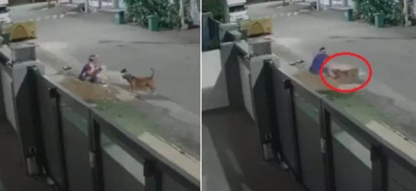 Wanita di Melaka Diserang Oleh Anjing Peliharaan yang Agresif Setelah Pemilik yang Ceroboh Membuka Gerbang 