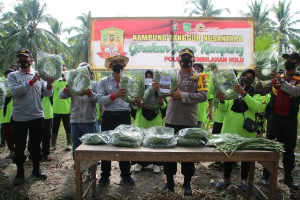 Desa Sialang Panjang Binaan Polres Inhil Panen Perdana Hasil Pertanian (foto/int)