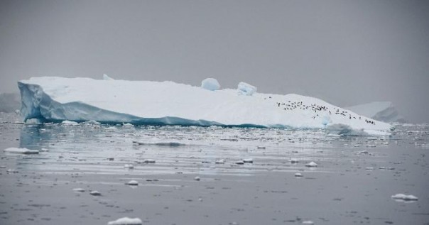 Dua Es Kutub Utara Telah Hilang, Data NASA Menunjukkan Percepatan Pemanasan Global