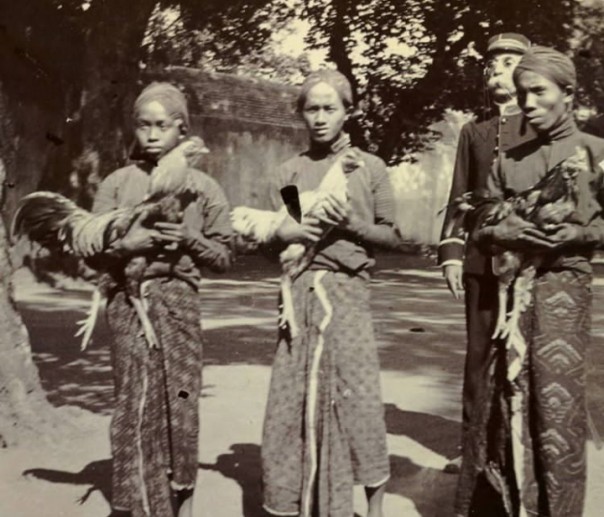 Zaman Penjajahan Belanda, Potret Jadul Orang Indonesia Gendong Ayam Jago (foto/int)