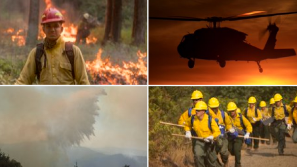 Tragis, Pilot Pemadam Kebakaran Tewas Dalam Kecelakaan Helikopter di Oregon