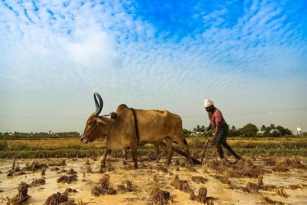 Terlalu Stress, Hampir 43.000 Petani Dan Buruh Harian Meninggal Karena Bunuh Diri Pada 2019