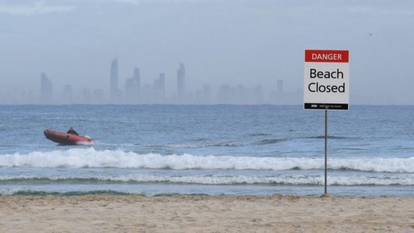 Serangan Hiu Australia Jadi Serangan Fatal Pertama di Pantai Gold Coast Dalam 60 Tahun