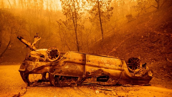 Setidaknya Tujuh Orang Tewas Saat Kebakaran Hutan Melalap Wilayah di Amerika Bagian Barat