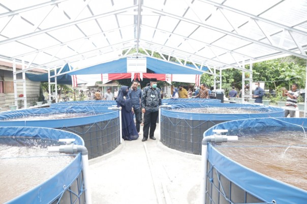 Tinjau Pembangunan Kolam Bioflok di Kampung Libo Jaya, Ini Harapan Alfedri (foto/int)