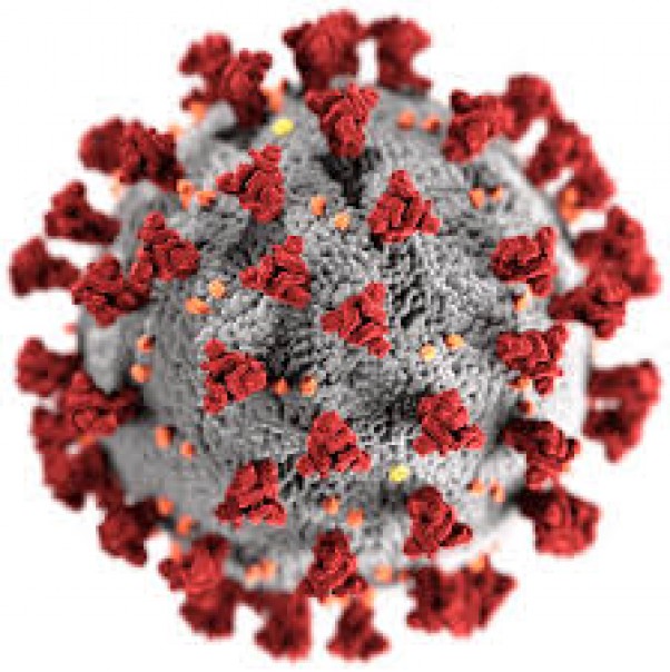 Tokyo Melaporkan 191 Kasus Virus Corona Baru