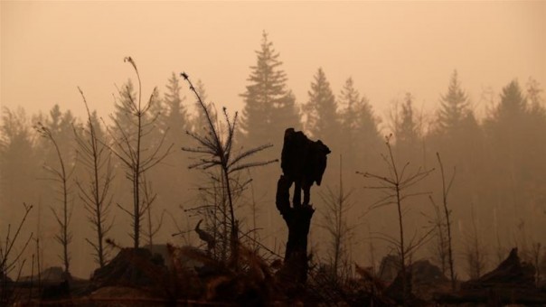 Gubernur Oregon Mencari Bantuan Federal Ketika Kebakaran Hutan Terus Mengamuk
