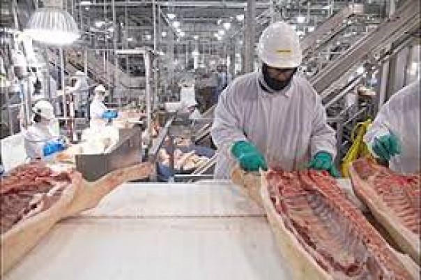 China Menghentikan Impor Unggas Dari Pabrik OK Foods di Arkansas, Ini Alasannya...