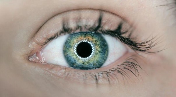 Seorang Dokter Membangun Mata Bionik Pertama Di Dunia Untuk Mengembalikan Penglihatan Pada Orang Tunanetra