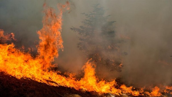 Tragis, Petugas Pemadam Kebakaran Tewas Terpanggang Dalam Kobaran Api di California