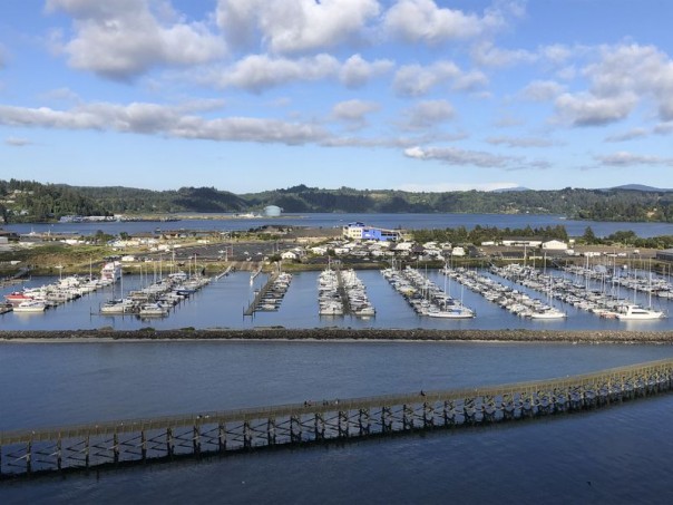 Puluhan Karyawan di Pabrik Makanan Laut Oregon Dinyatakan Positif Virus Corona