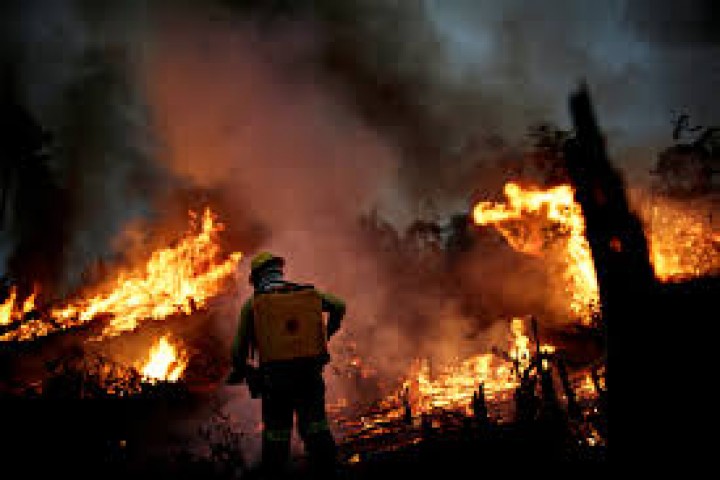 Hutan Amazon di Brasil Alami Kebakaran Terburuk Dalam 10 Tahun Terakhir