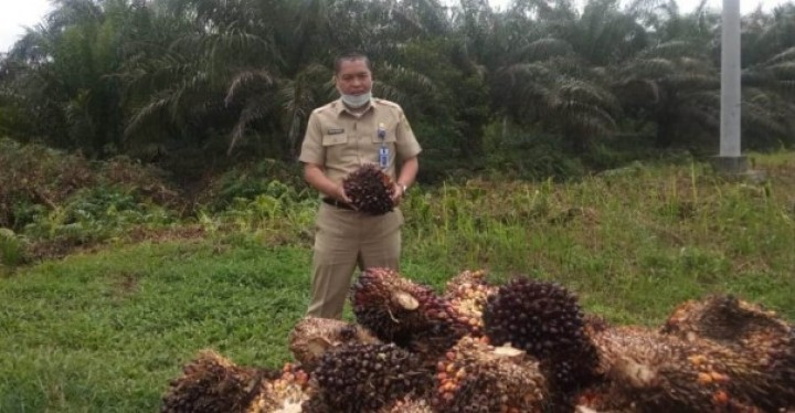 Kabid Pengolahan dan Pemasaran Dinas Perkebunan Riau, Defris Hatmaja