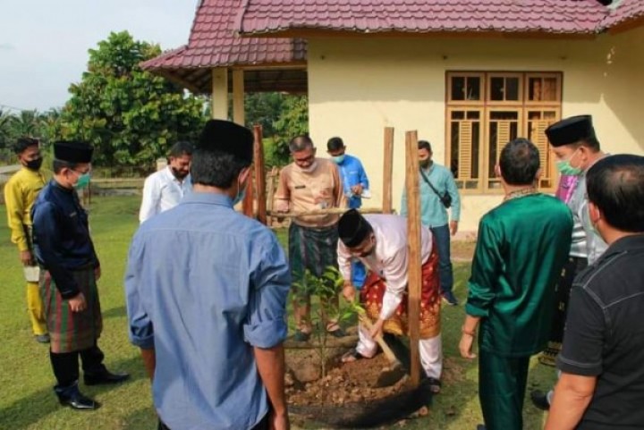 Pjs Bupati Kuansing Menanam Pohon di Rumah Godang Kenegerian Teluk Kuantan Demi Lestarikan Lingkungan (foto/zar)