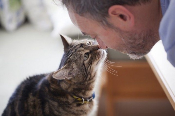 Ternyata Ada Cara Mudah Untuk Ngobrol Dengan Kucing, Yuk Dicoba...