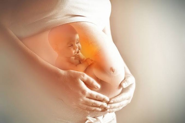 Ibu Hamil Wajib Rutin Periksa Kehamilan? Ini Jawaban Dokter Yassin (foto/int)