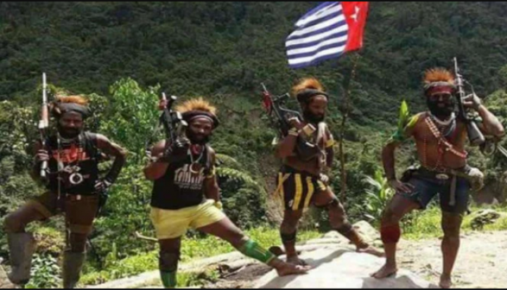 Pasukan OPM di Papua. (Ilustrasi) 