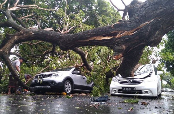 Sepasang Suami Istri Berhasil Lolos Dari Maut Setelah Pohon Tumbang Menghancurkan Mobil Mereka di Terengganu