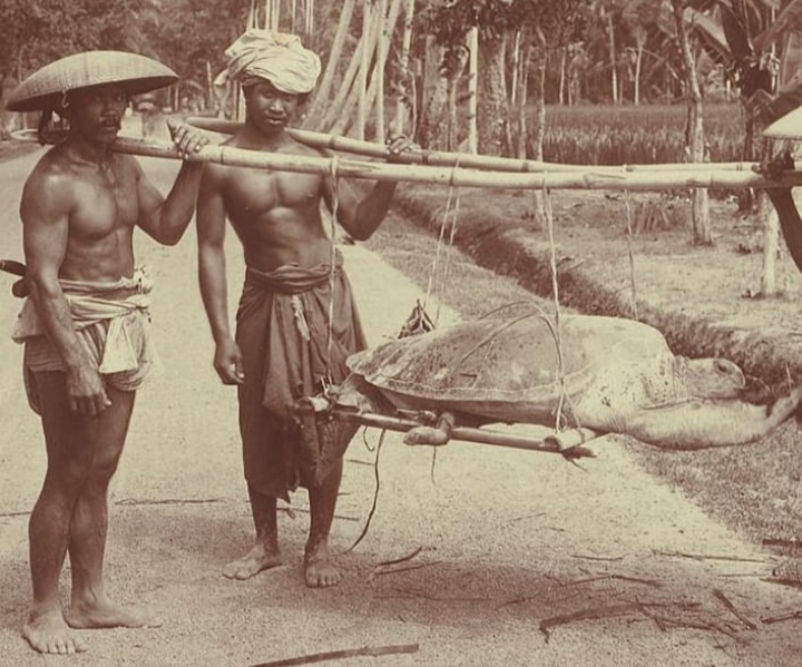 Ini Penampakan Nelayan di Bali Tahun 1913, Warganet Salah Fokus Sama Otot Kekar (foto/int)