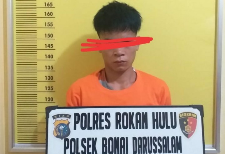 Gagahi Gadis 15 Tahun, Udin Ditangkap (foto/int)